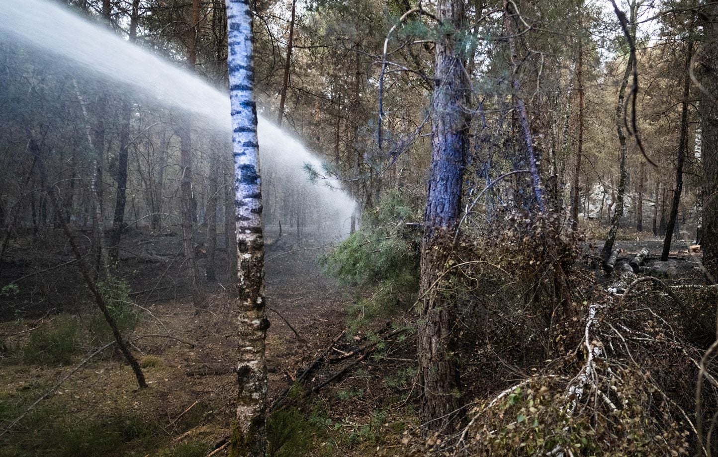 Un virulento incendio amenaza un pueblo y varias decenas de viviendas han sido evacuadas Un virulento incendio amenaza un pueblo y varias decenas de viviendas han sido evacuadas
